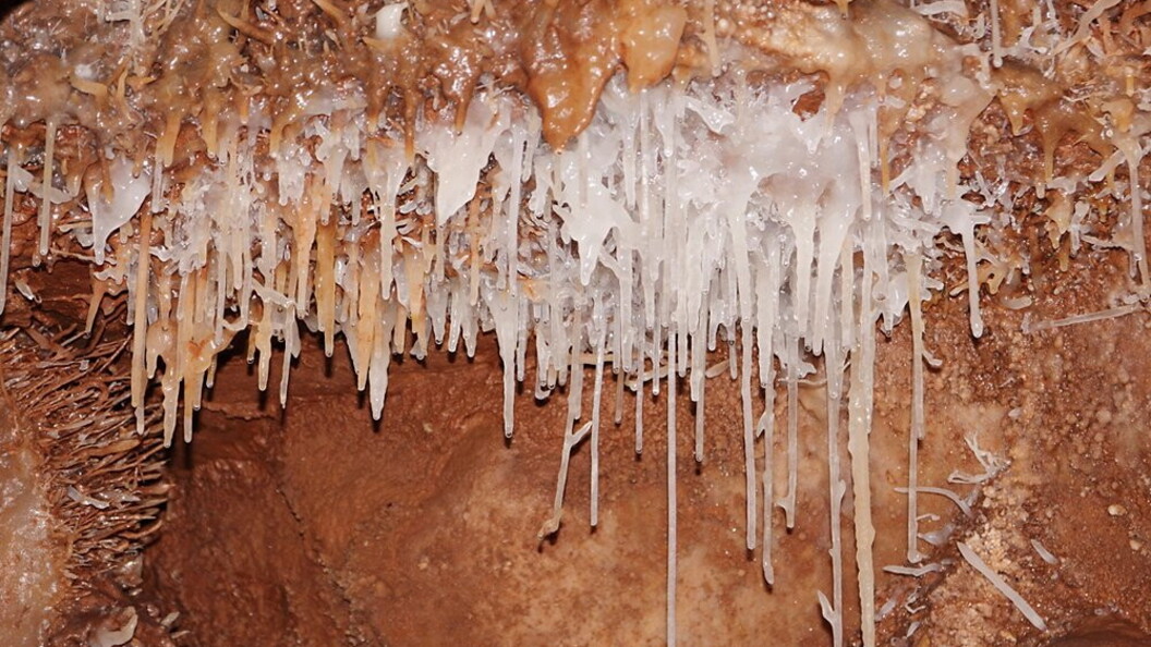 Concrezioni a cannule