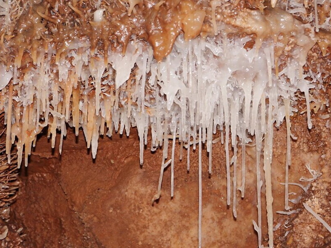 Concrezioni a cannule