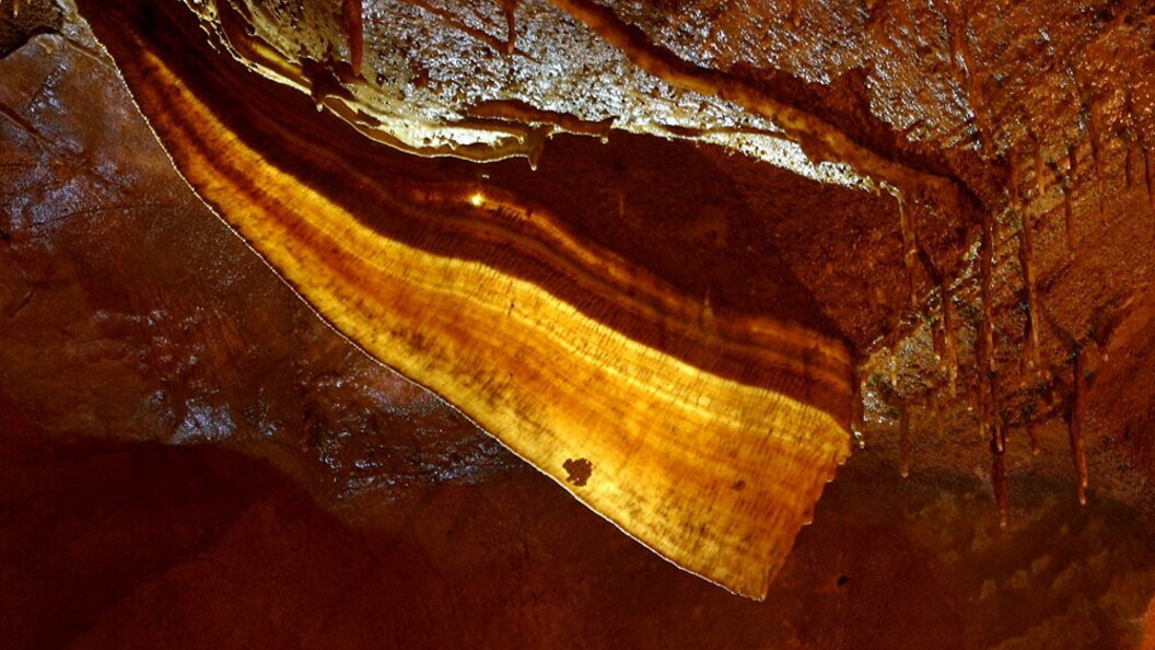 Concezione “fetta di pancetta”