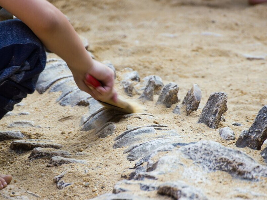 Paleontologi al lavoro