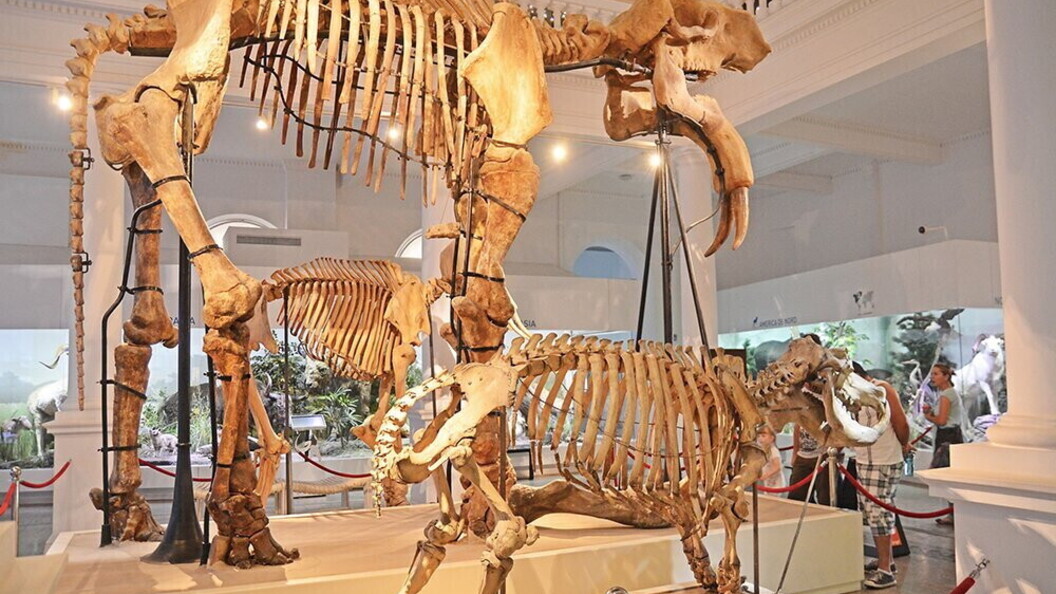 Ricostruzione nel museo