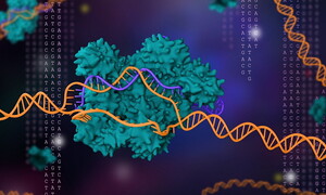 Crispr-Cas9 la fabbrica dei geni
