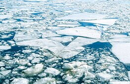 Vagabonds on the sea