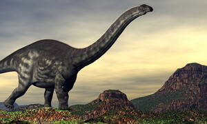 Un dinosauro che vale come tre Ferrari F40