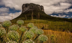 Chapada Diamantina: un tesoro al di là delle pietre preziose