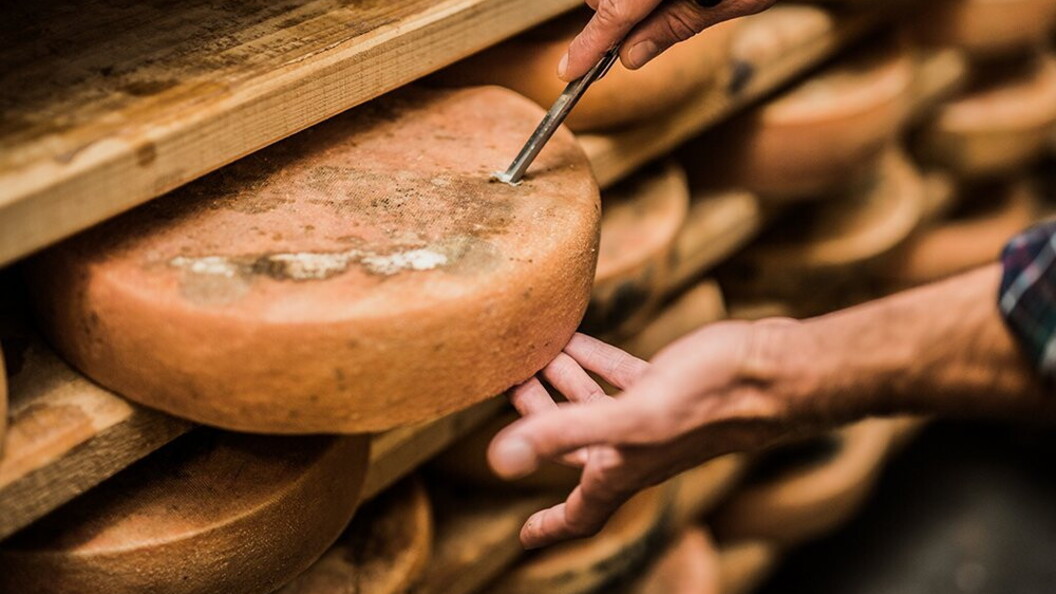 Maturazione del formaggio