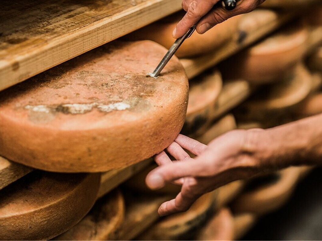 Maturazione del formaggio