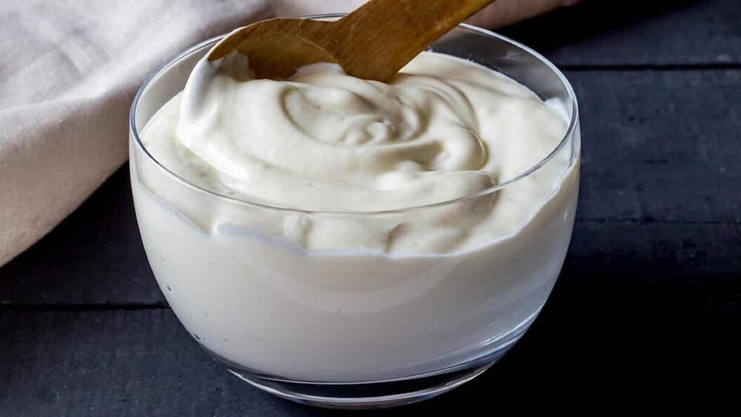 Yogurt e fermenti lattici