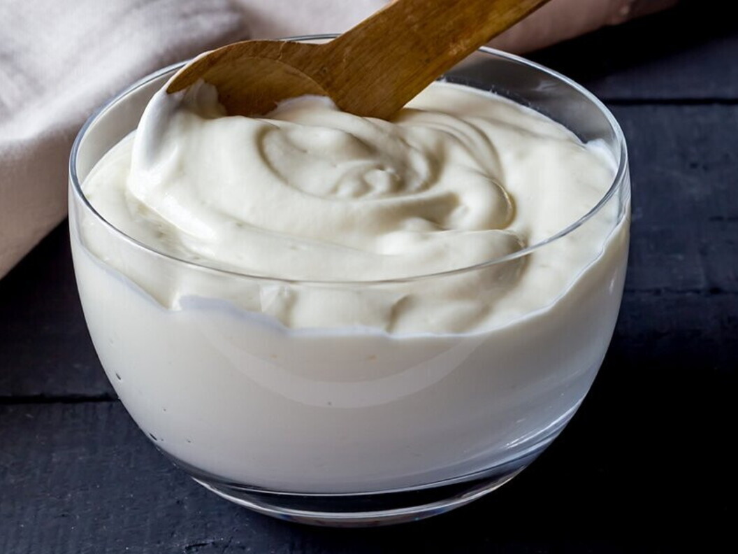 Yogurt e fermenti lattici