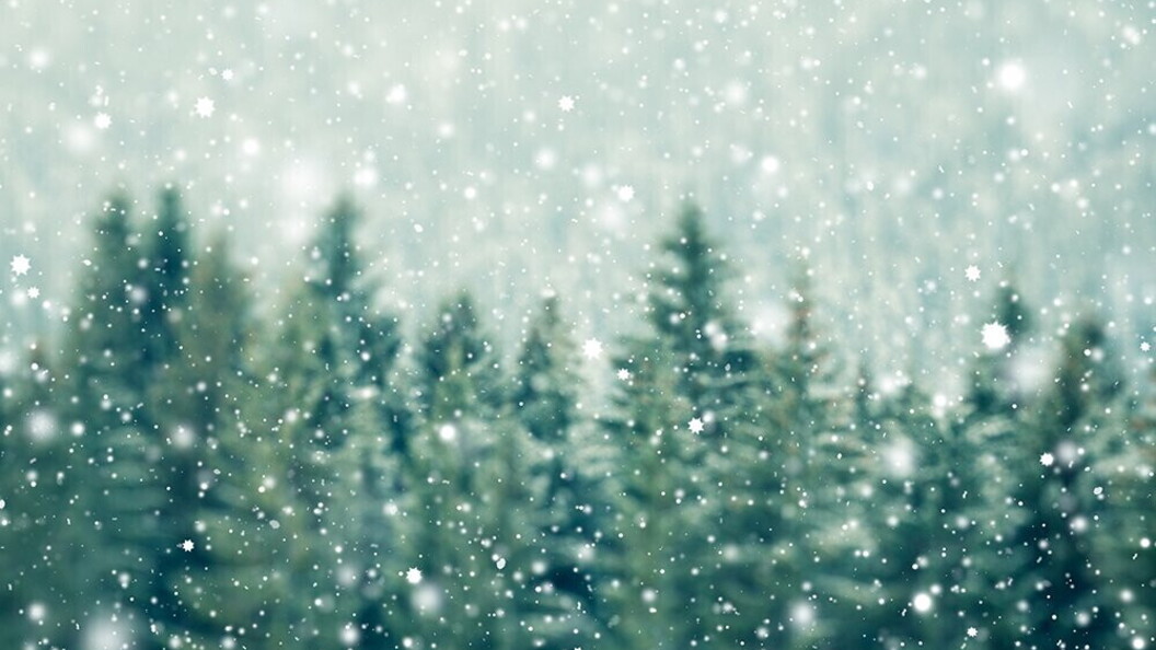 Nevicata