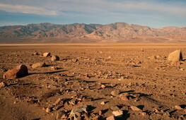 A third of the land emerged