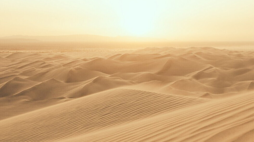 Dune