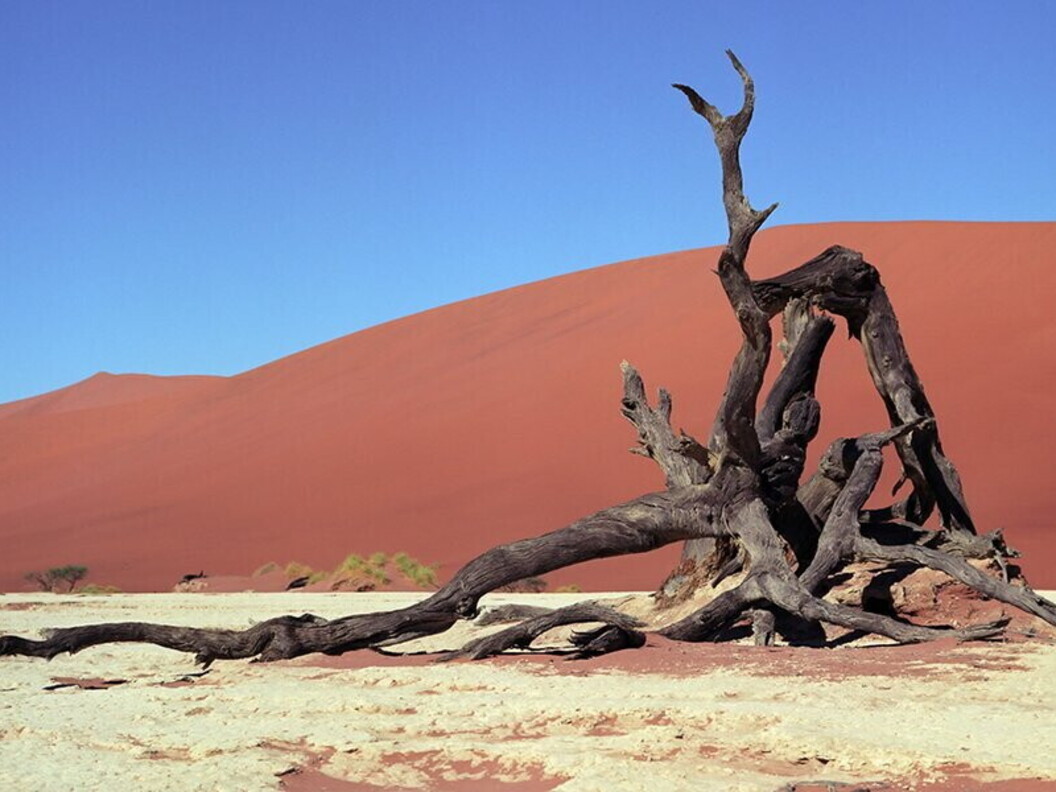 Namibia