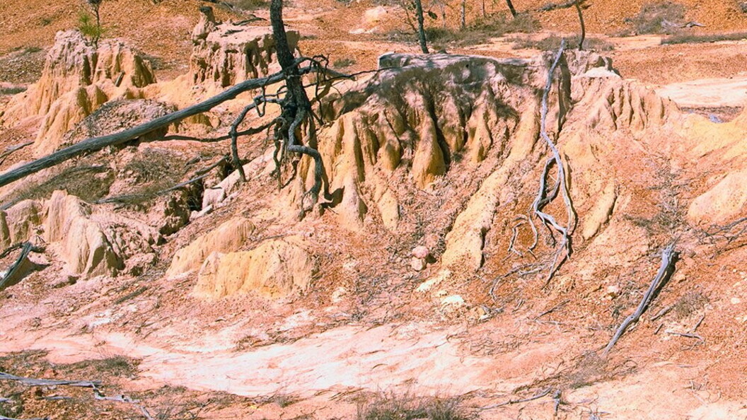 Siccità ed erosione