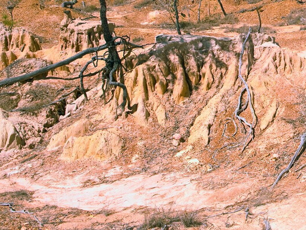 Siccità ed erosione