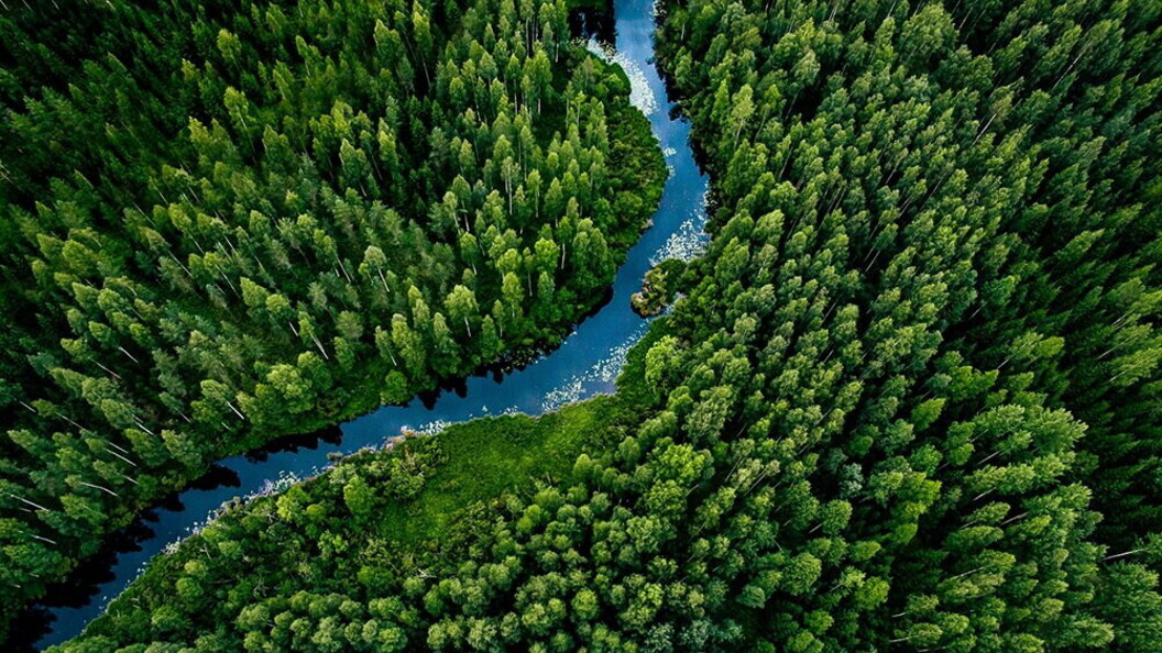Veduta aerea di un fiume
