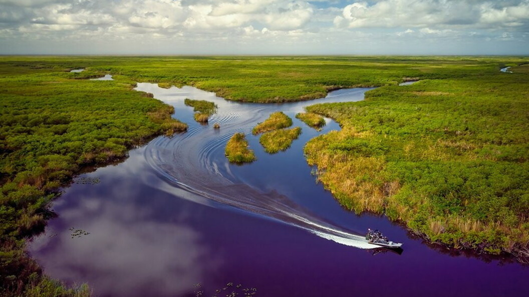 Everglades, Florida