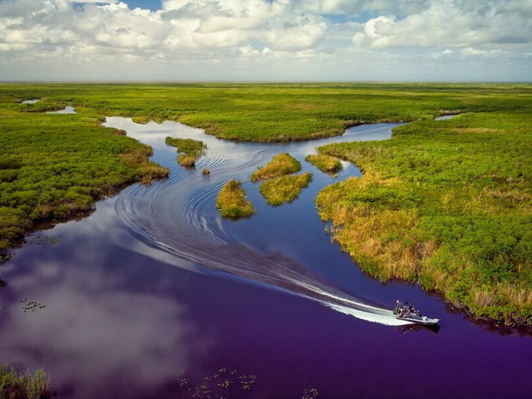 Everglades, Florida