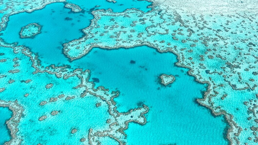 Grande Barriera Corallina