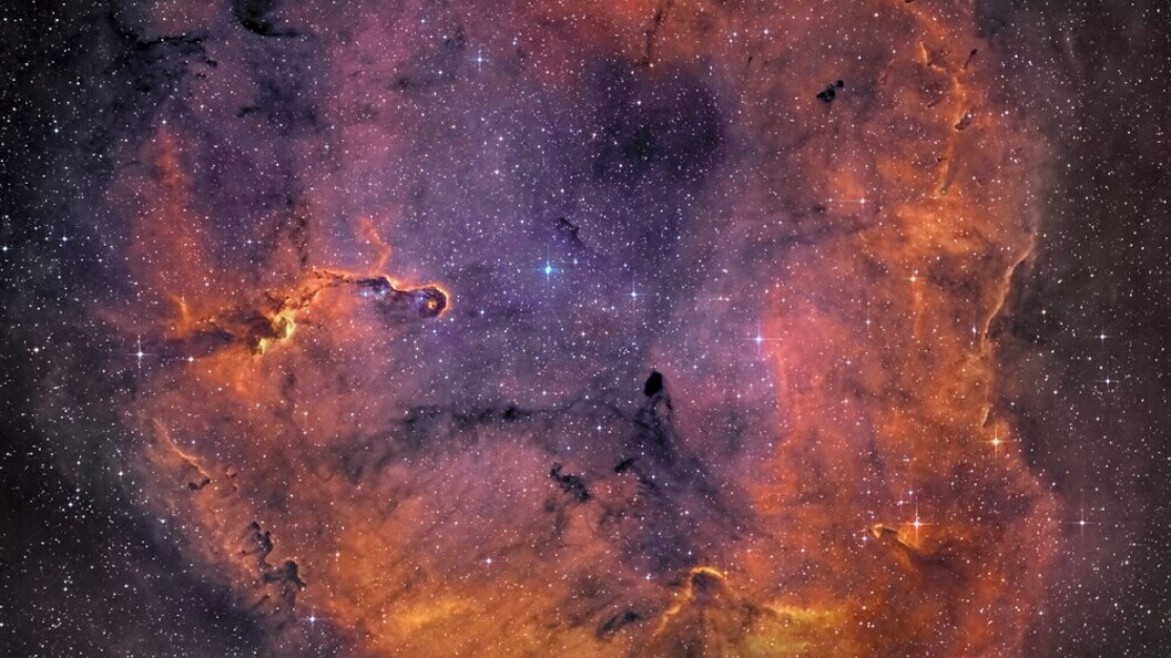 Nebulosa Tronco di Elefante