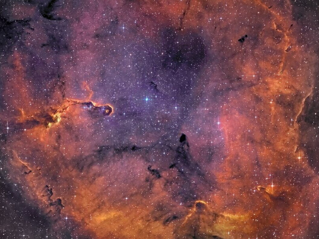 Nebulosa Tronco di Elefante