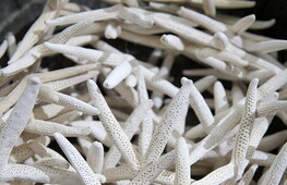 Difendiamo la barriera 