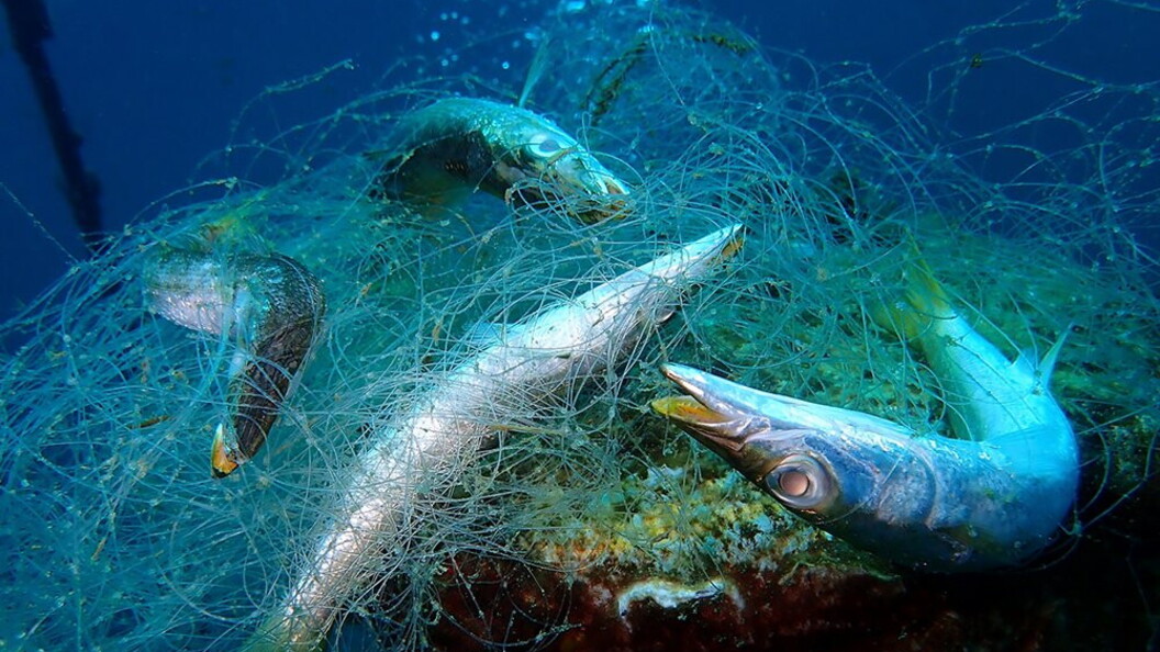Reti da pesca fantasma