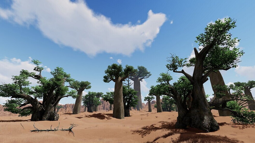 Baobab