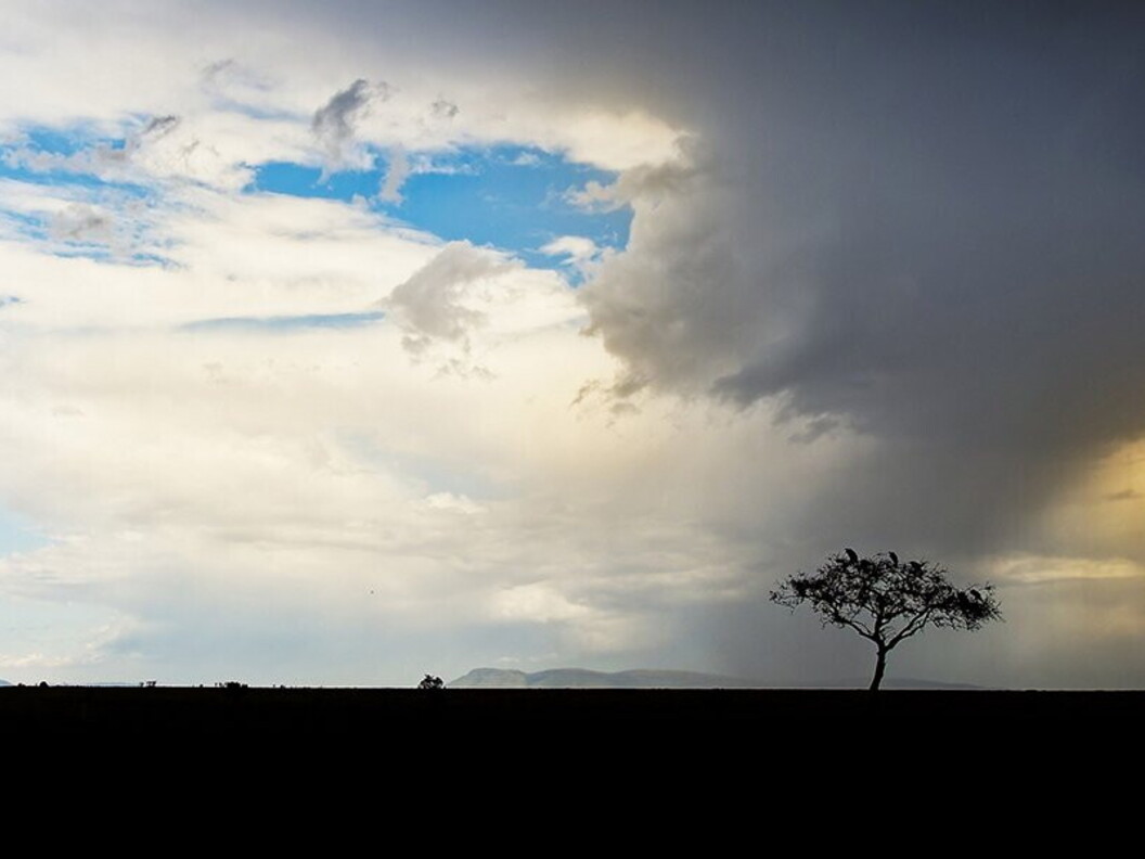 Pioggia in savana