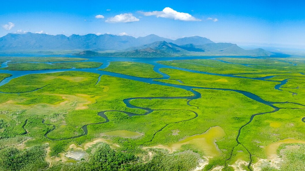 Fiumi serpeggianti e mangrovie