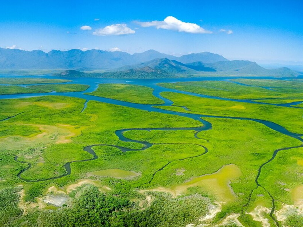 Fiumi serpeggianti e mangrovie