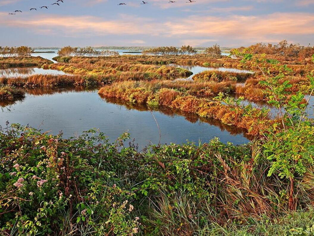 Delta del Po - Italia