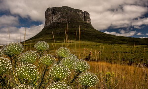 Chapada Diamantina: un tesoro al di là delle pietre preziose