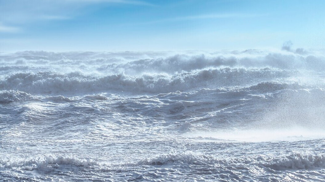 Vento muove le onde