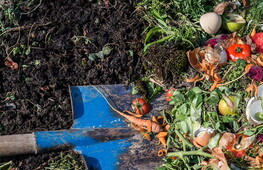 Un ruolo fondamentale 