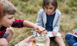 Strumenti digitali per l’educazione ambientale
