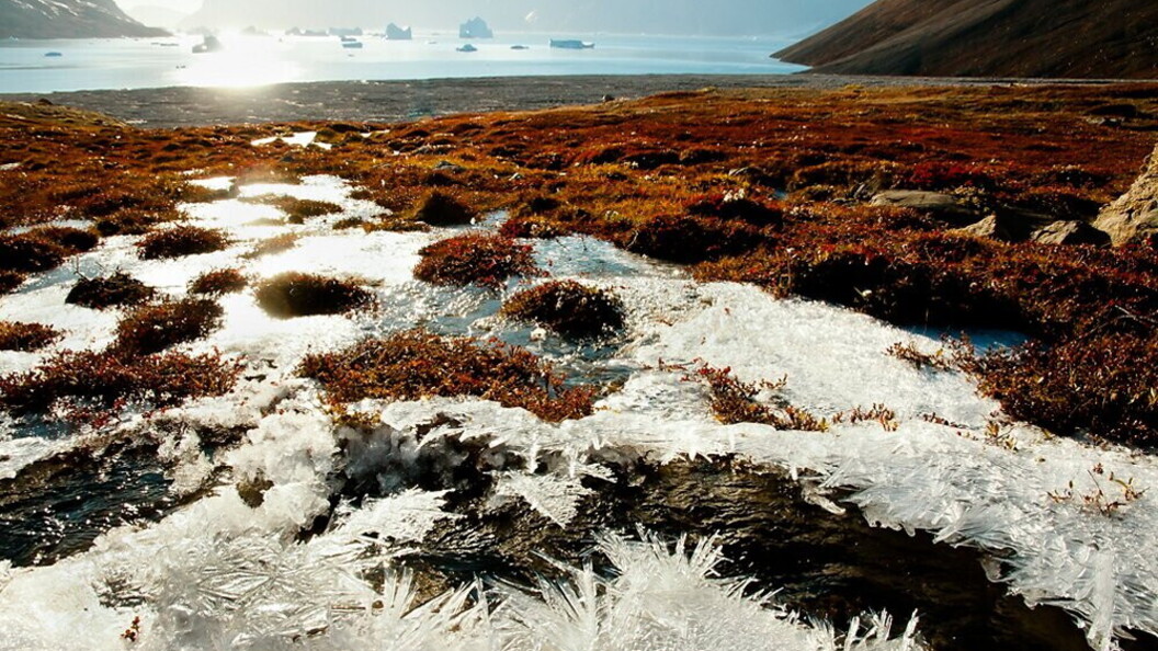 Permafrost