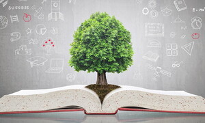 Strumenti per una didattica alla sostenibilità