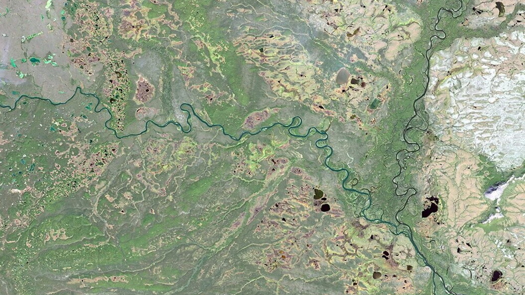 Immagine satellitare
