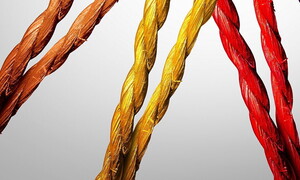 La palestra delle idee