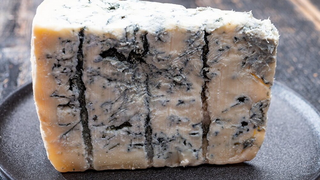 Gorgonzola