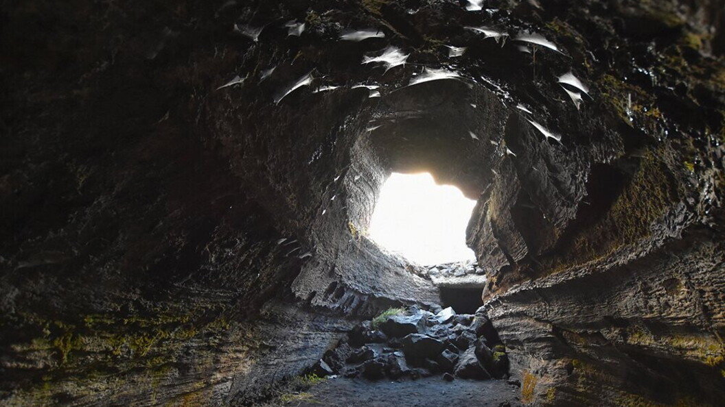Grotta lavica sull’Etna, Italia