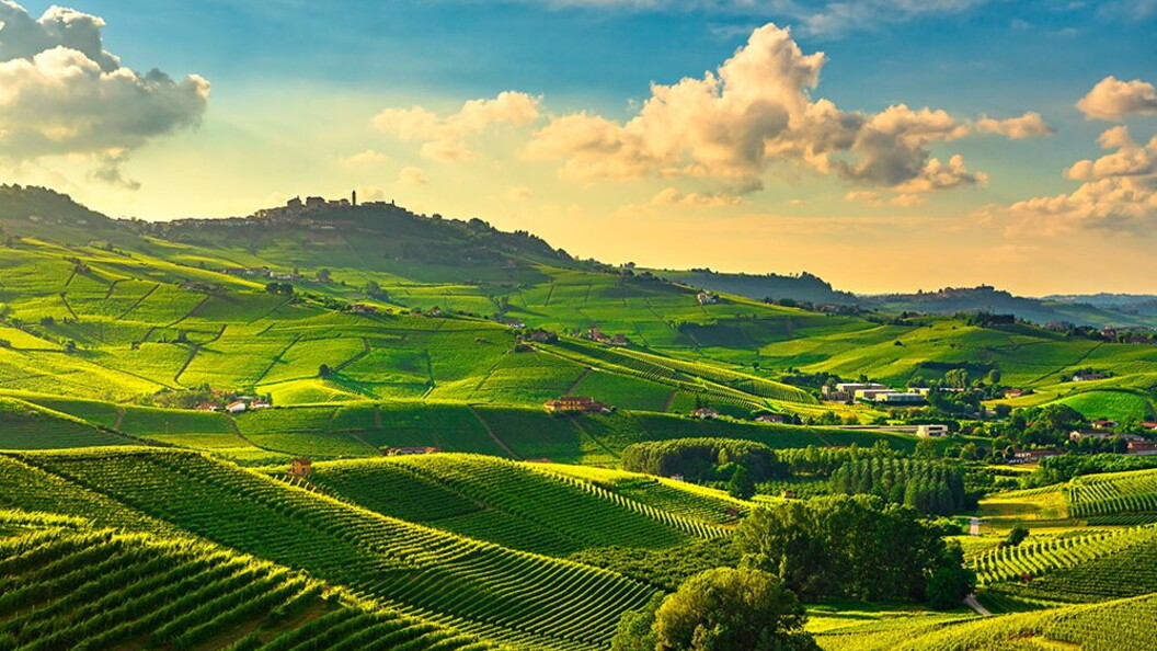 Vigneti delle Langhe