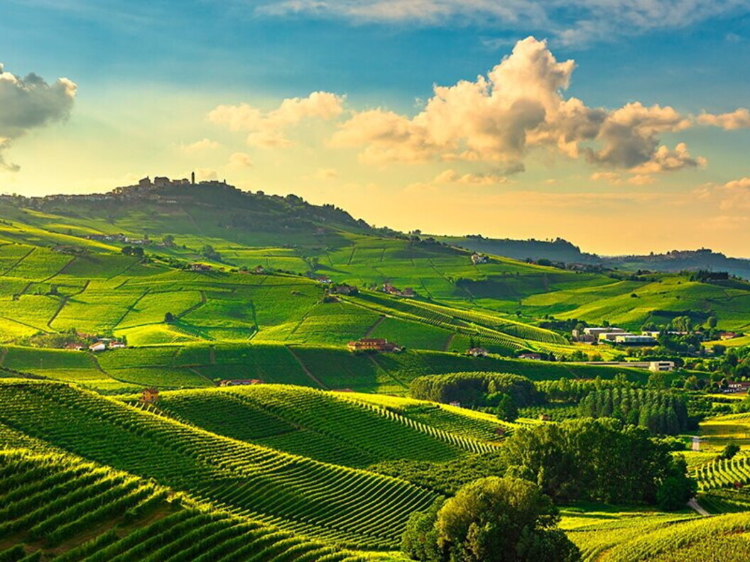 Vigneti delle Langhe