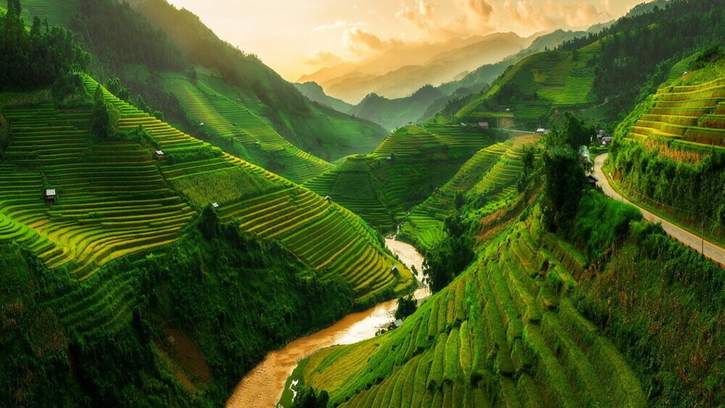 Risaie terrazzate in Vietnam