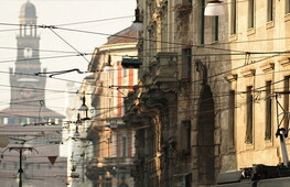 Urban ecosystem 2023