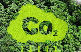 CO2 removal technologies: what are the perspectives?