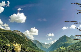 What is an ecosystem