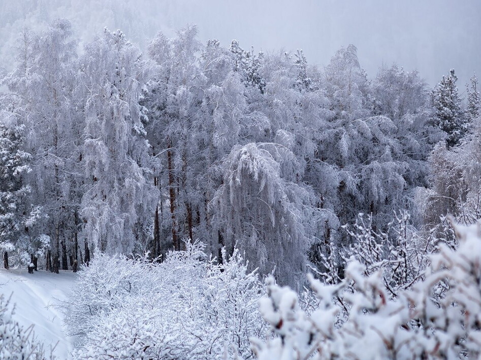 Snow report in Italy: improvement in the North