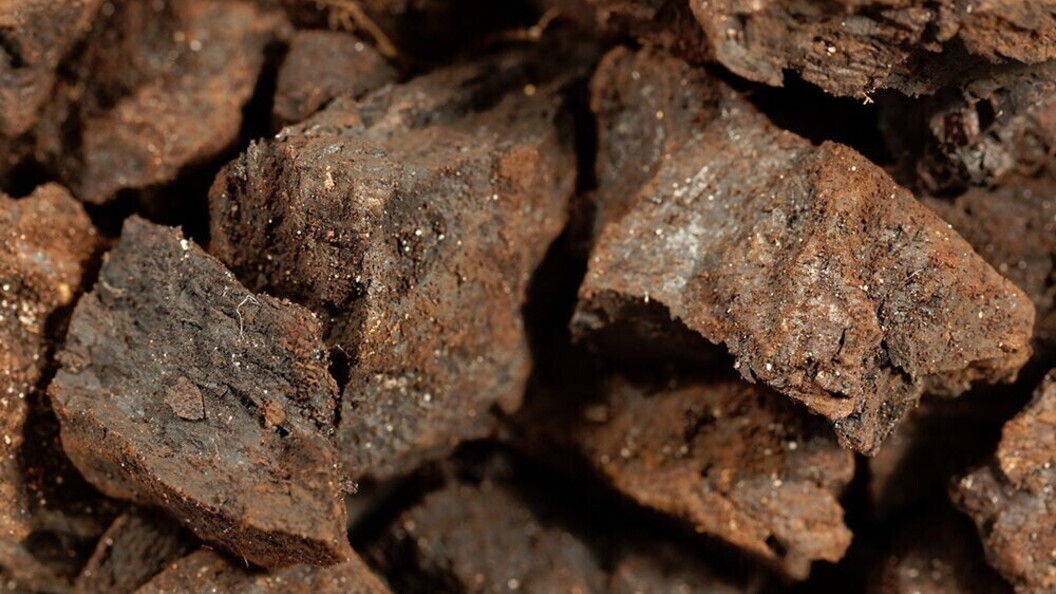 Lignite